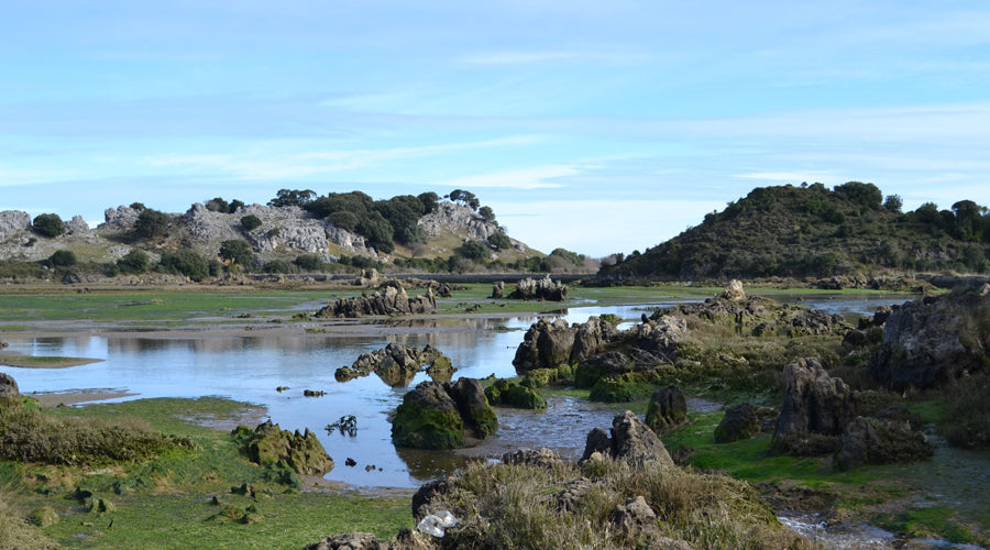 Cantabria, tierra infinita