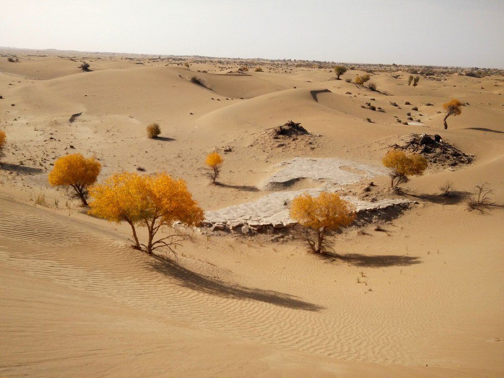 Desierto de Taklamakan (China) - Misswood