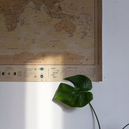 Lámina Mapamundi - Woody Map Poster - Misswood