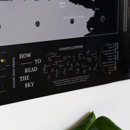 Lámina Mapamundi - Woody Map Poster - Misswood