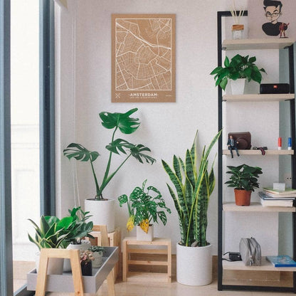 Mapa de corcho - Woody Map Natural Amsterdam - Misswood