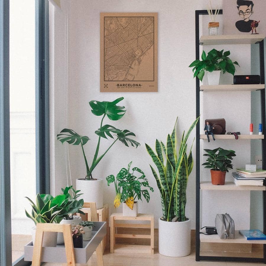 Mapa de corcho - Woody Map Natural Barcelona - Misswood