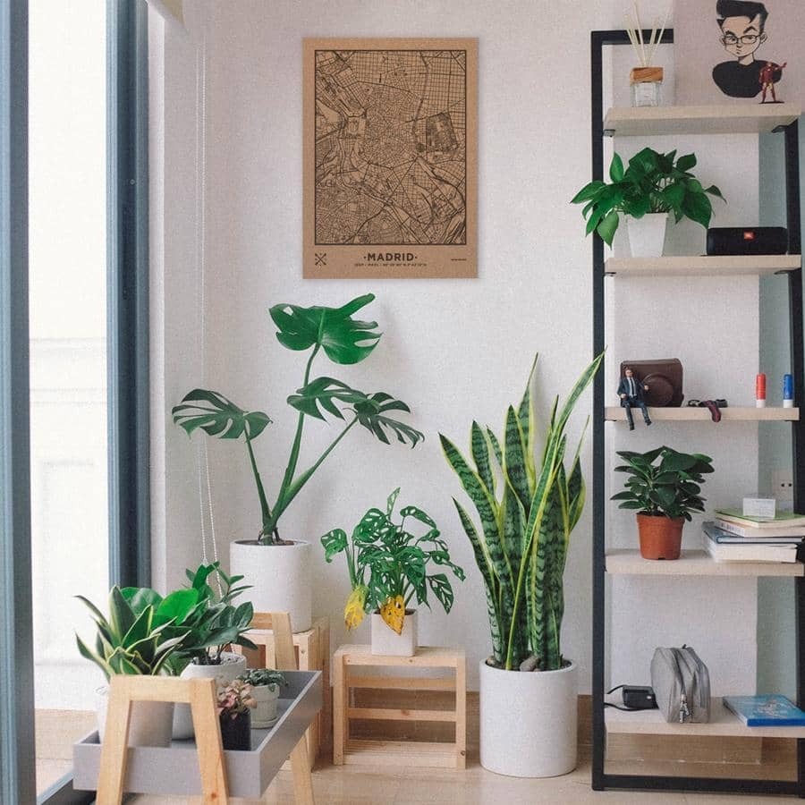 Mapa de corcho - Woody Map Natural Madrid - Misswood