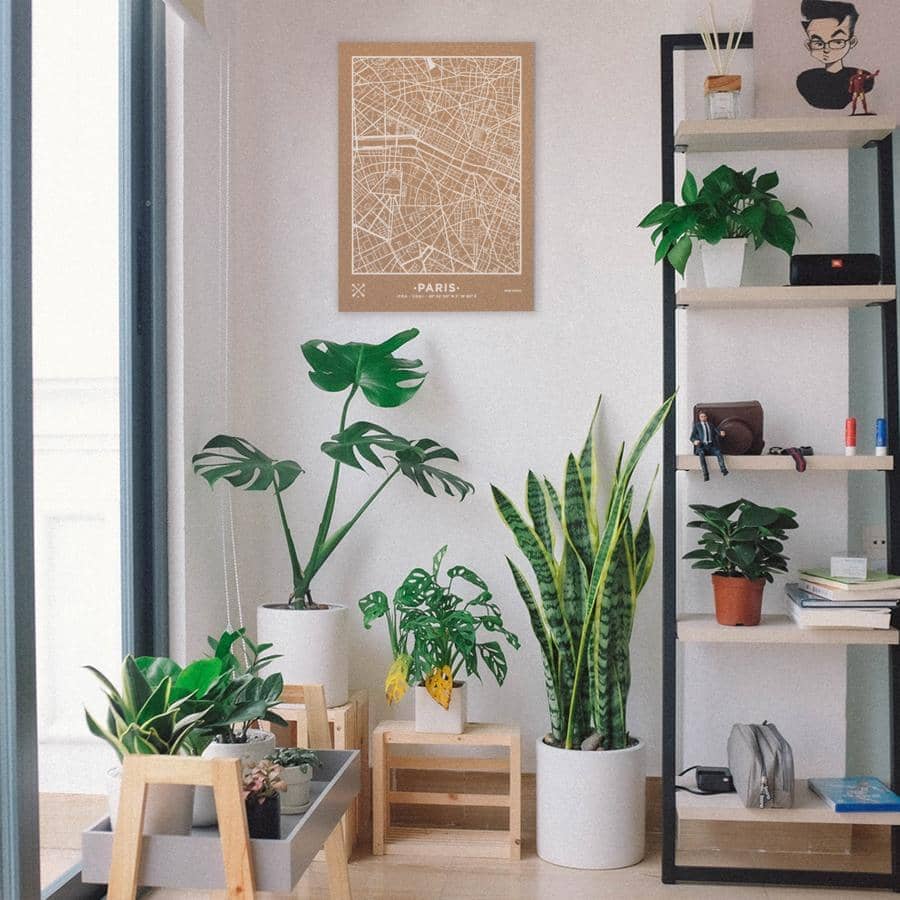 Mapa de corcho - Woody Map Natural Paris - Misswood