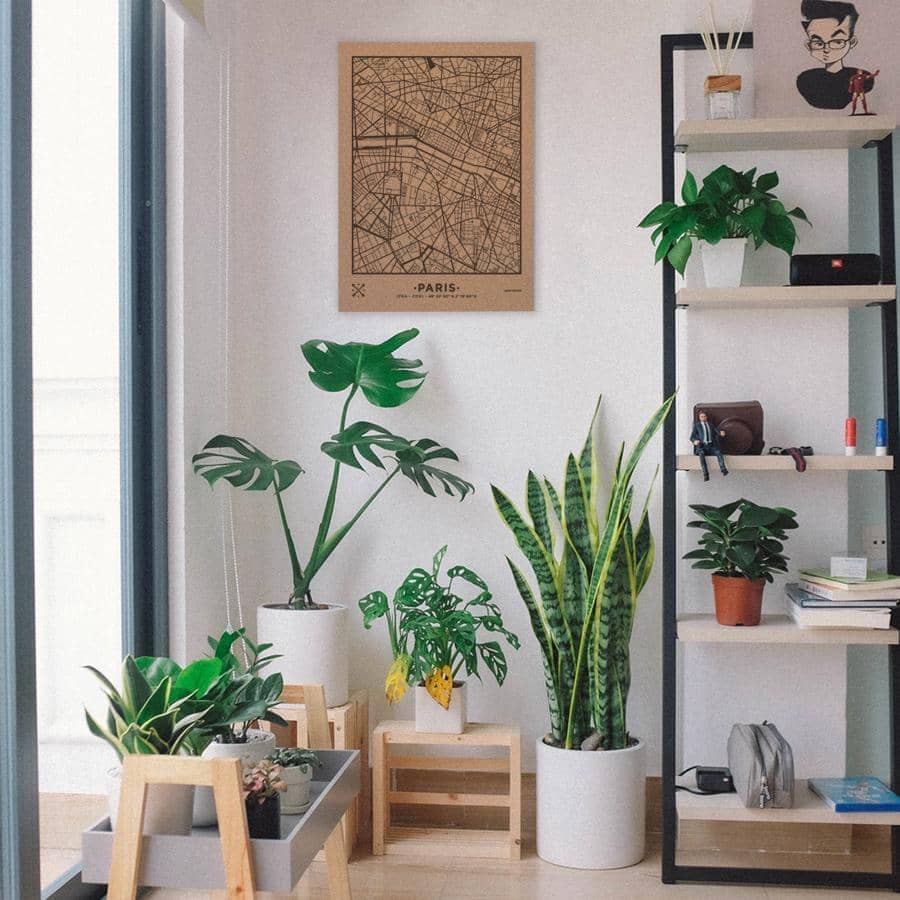 Mapa de corcho - Woody Map Natural Paris - Misswood